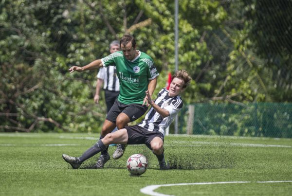 soccer-field